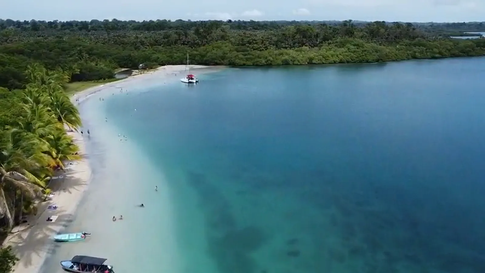 A wide curve of beach with palms and turquoise shallows